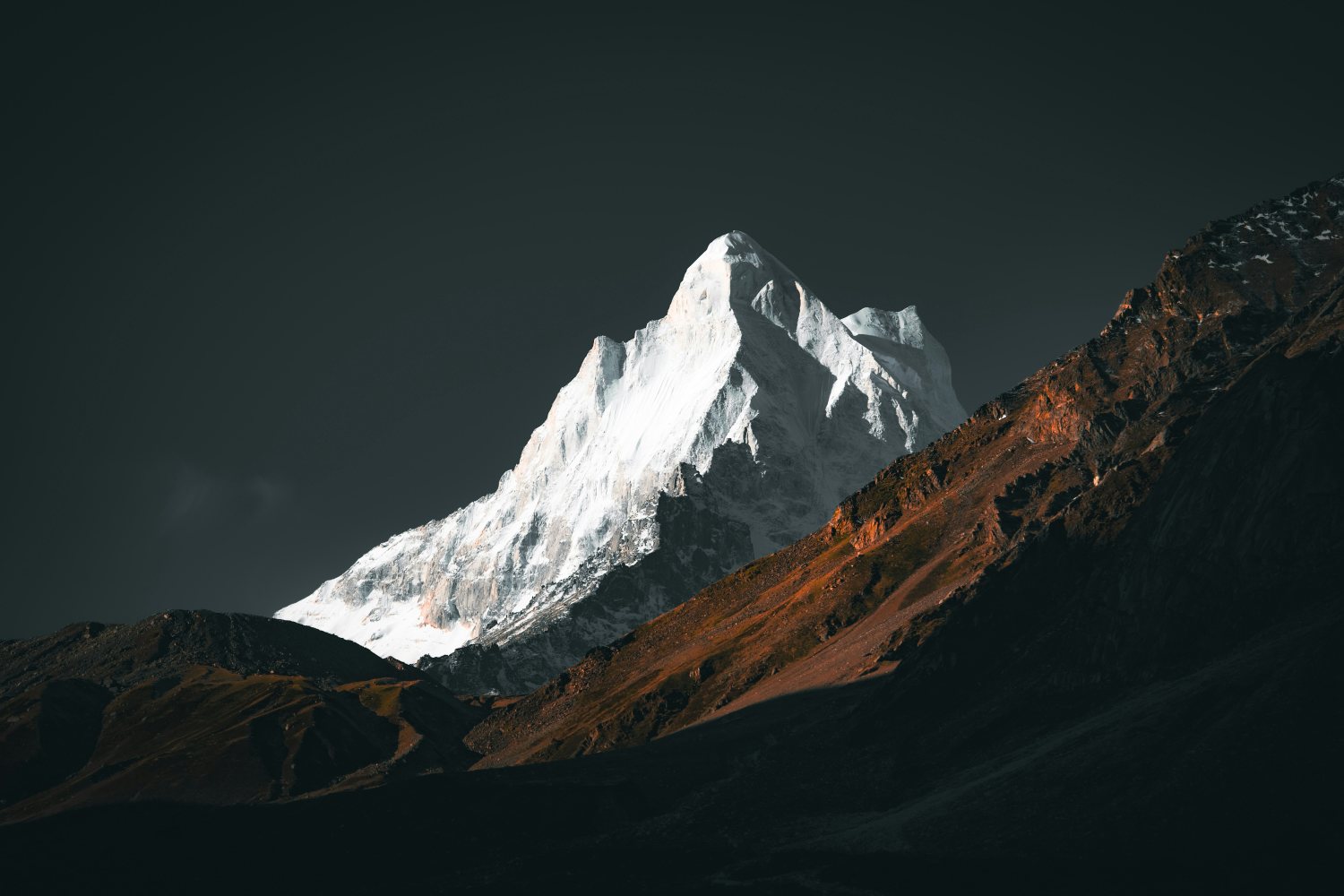 41_42575